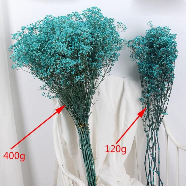 Gypsophila Flowers 120g 65cm Dried Flowers Gypsophila