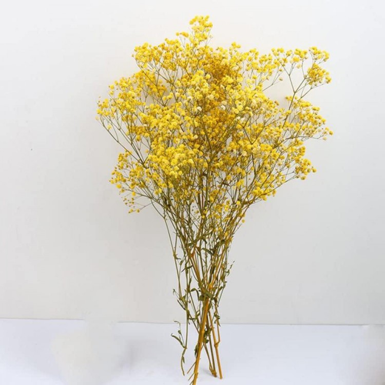 Gypsophila Flowers 120g 65cm Dried Flowers Gypsophila