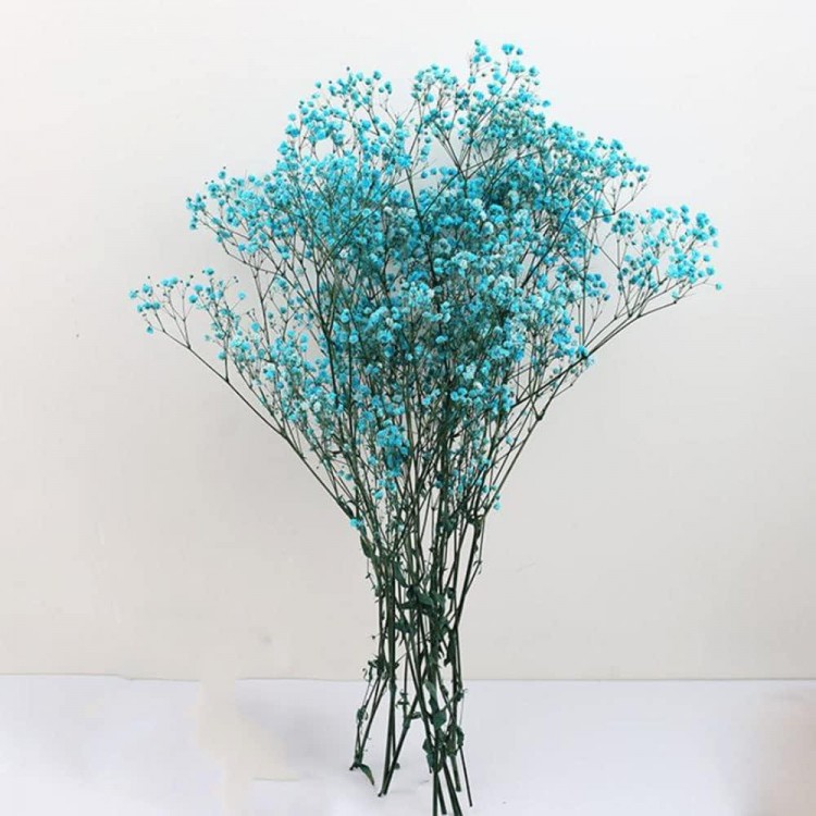 Gypsophila Flowers 120g 65cm Dried Flowers Gypsophila