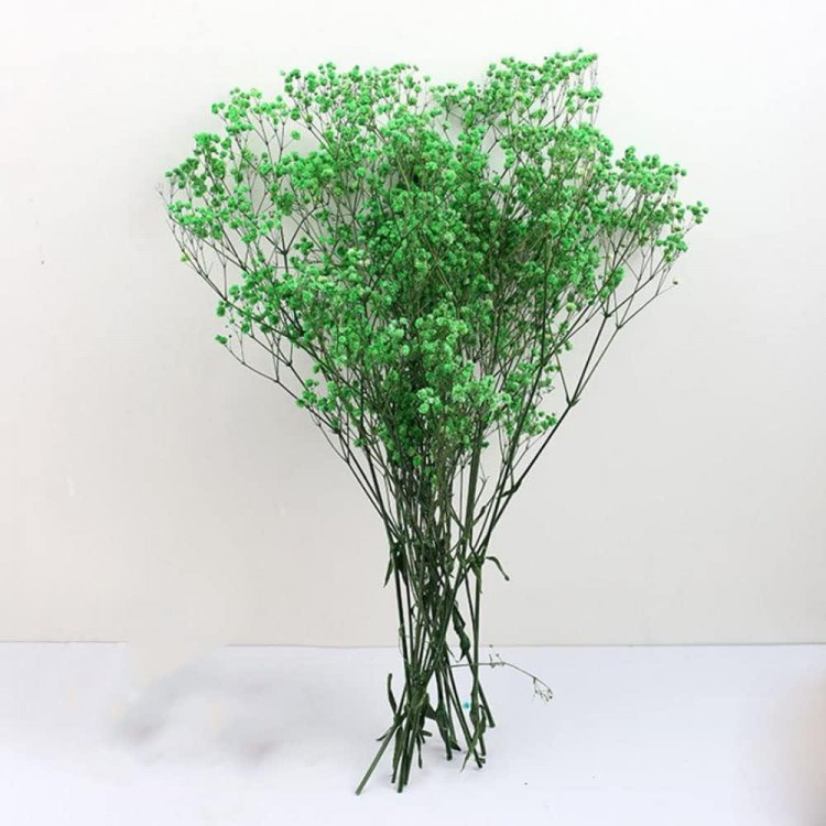 Gypsophila Flowers 120g 65cm Dried Flowers Gypsophila