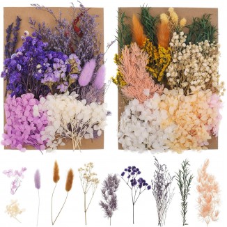 Dried Flowers for Crafts, Dried Flowers Small