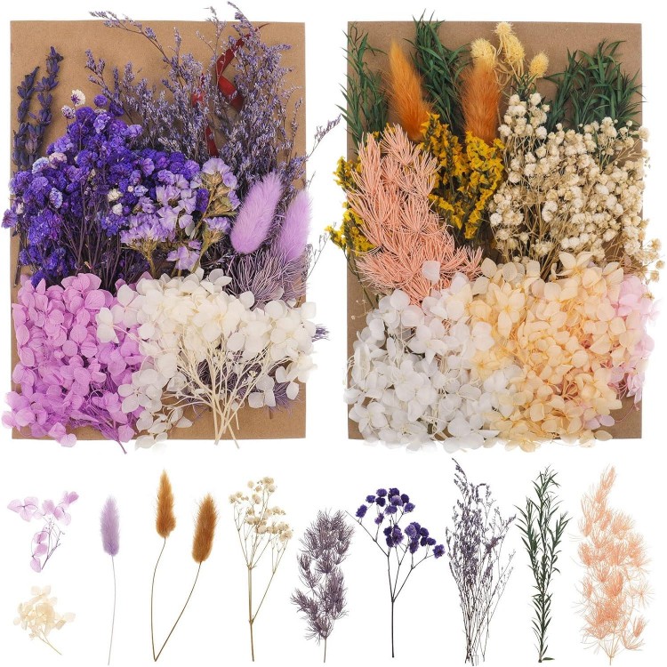 Dried Flowers for Crafts, Dried Flowers Small