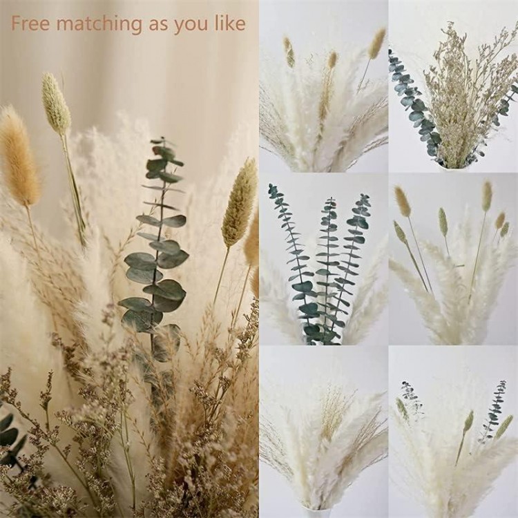 Dried Natural Pampas Grass, Pack of 50