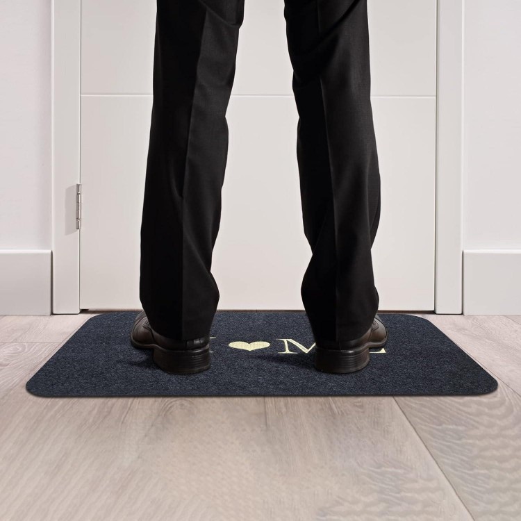 DIUJHUUY 2 Pièces Paillasson, Tapis de Porte d'entrée, Tapis Intérieur