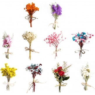 Teegxddy 10 PCS bouquet de fleurs sechees bouquet fleurs sechees natur