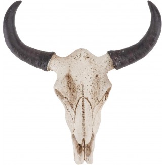 SEWACC Long Horn Cow Skull Steer Bull Head Sculpture Résine Animal Hea